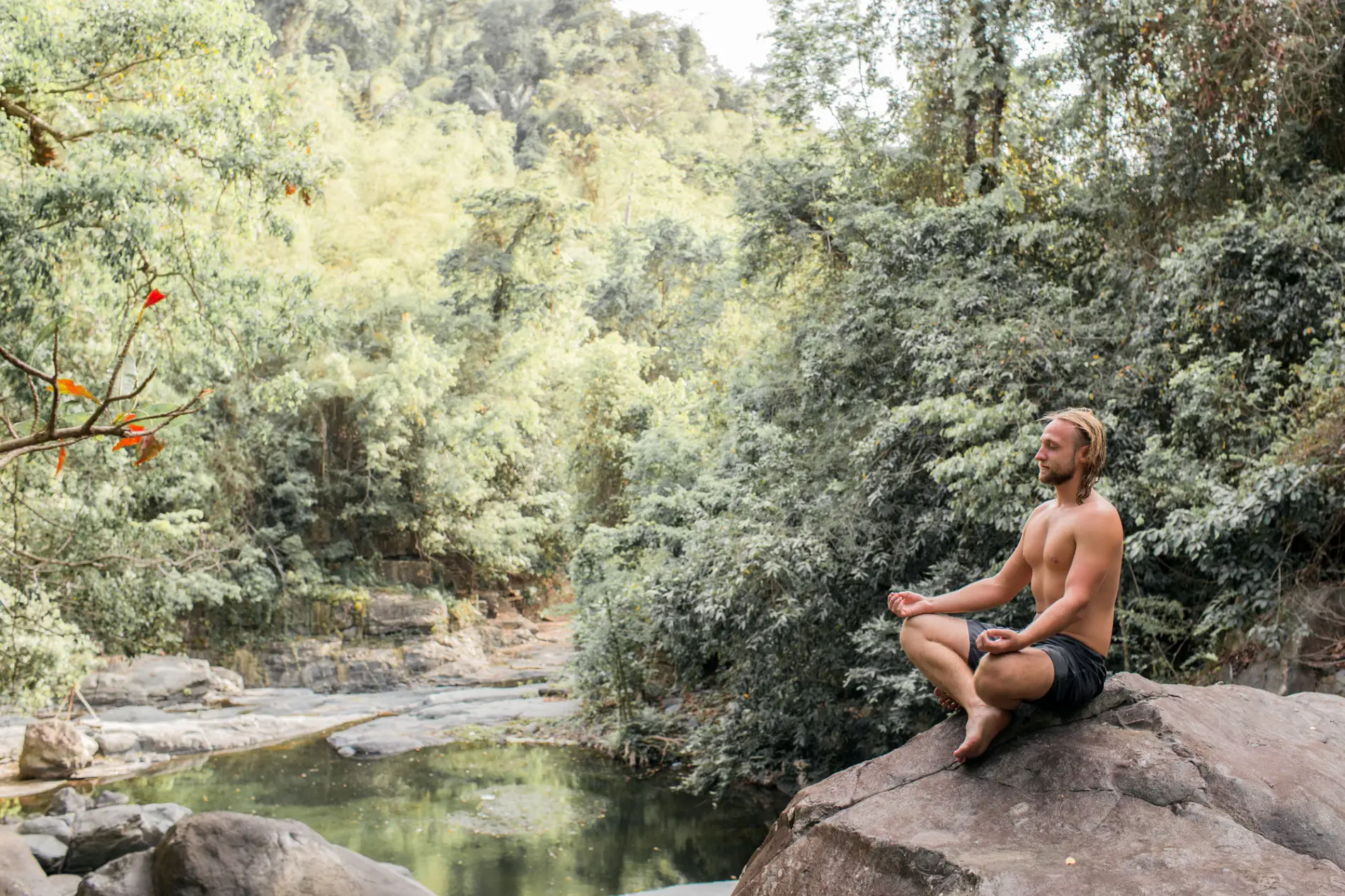 Expert en protection spirituelle en méditation, connecté aux esprits de la forêt amazonienne.